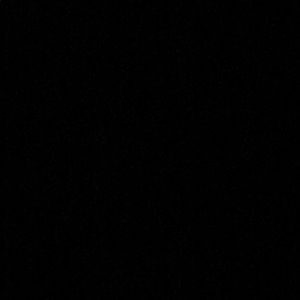 Meet your Posher, Susana